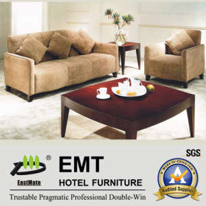 Modern Furniture Nice Hotel Living Room Sofa Set (EMT-SF10)